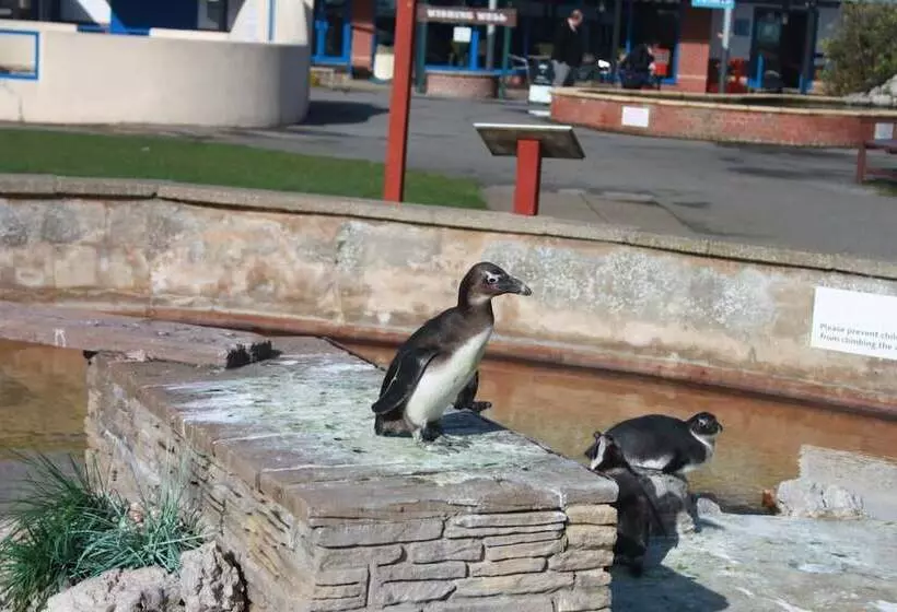 Majatalo The Southwold Guest House