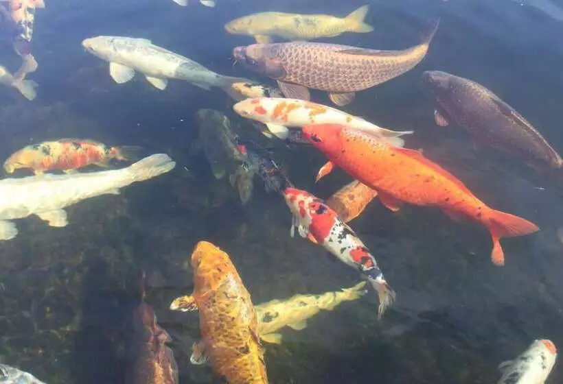 Majatalo The Southwold Guest House