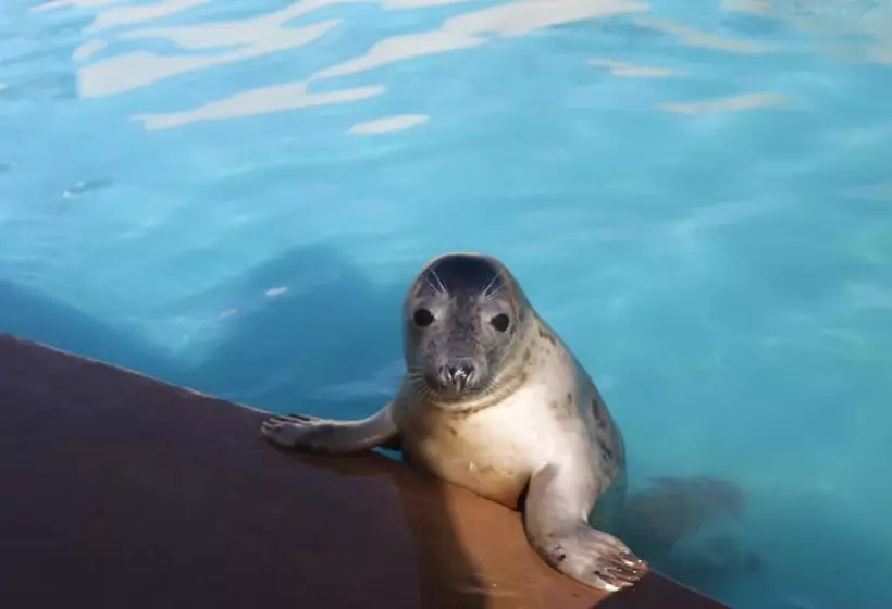 Majatalo The Southwold Guest House