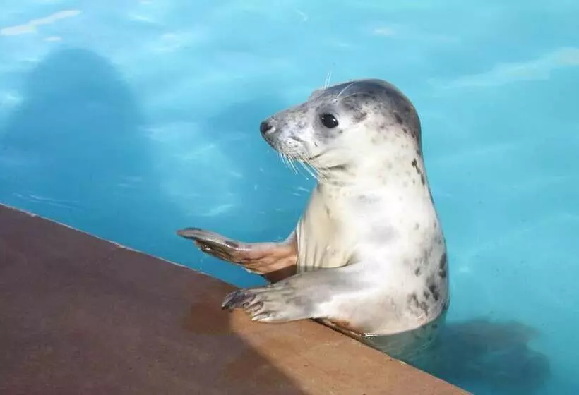 Majatalo The Southwold Guest House