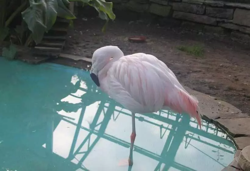 Majatalo The Southwold Guest House