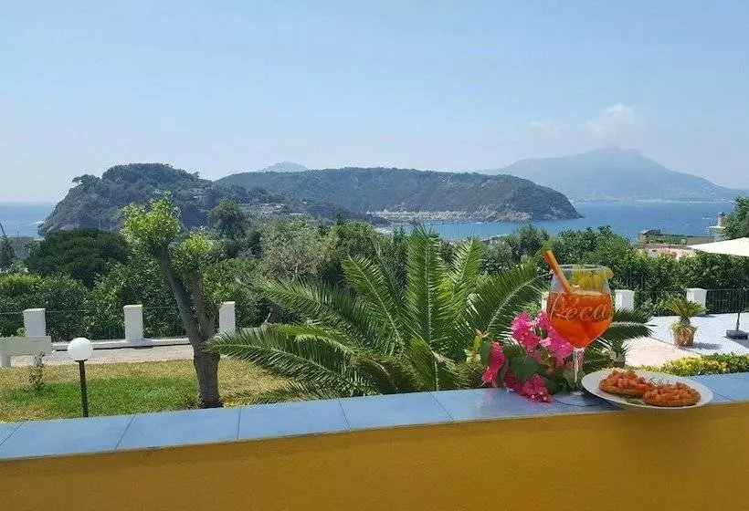 Aamiaismajoitus (B&B) Belvedere