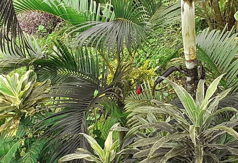 هتل Dave Parker Eco Lodge