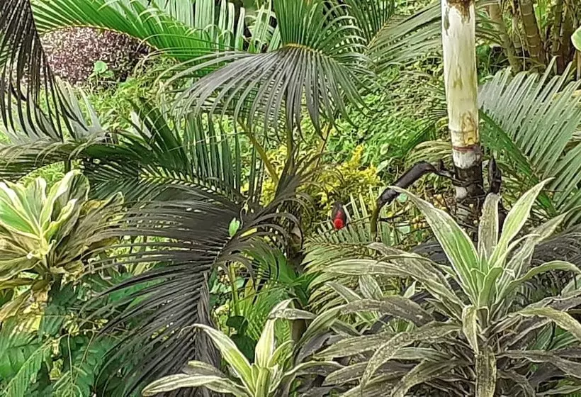 هتل Dave Parker Eco Lodge