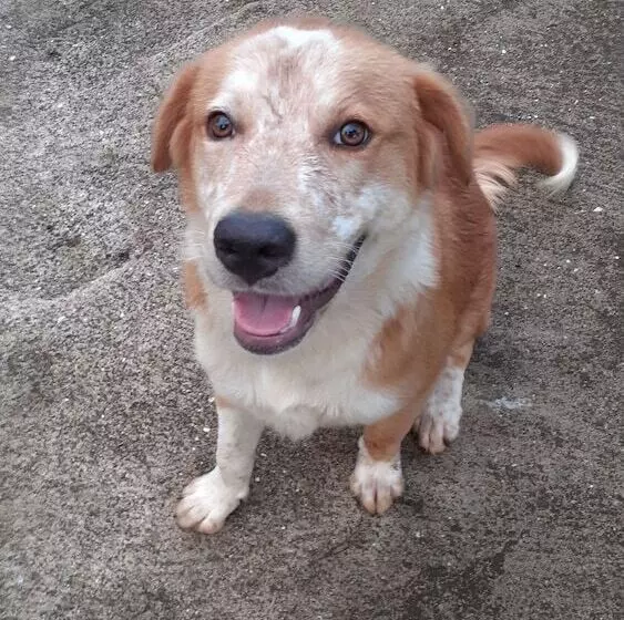 هتل Dave Parker Eco Lodge