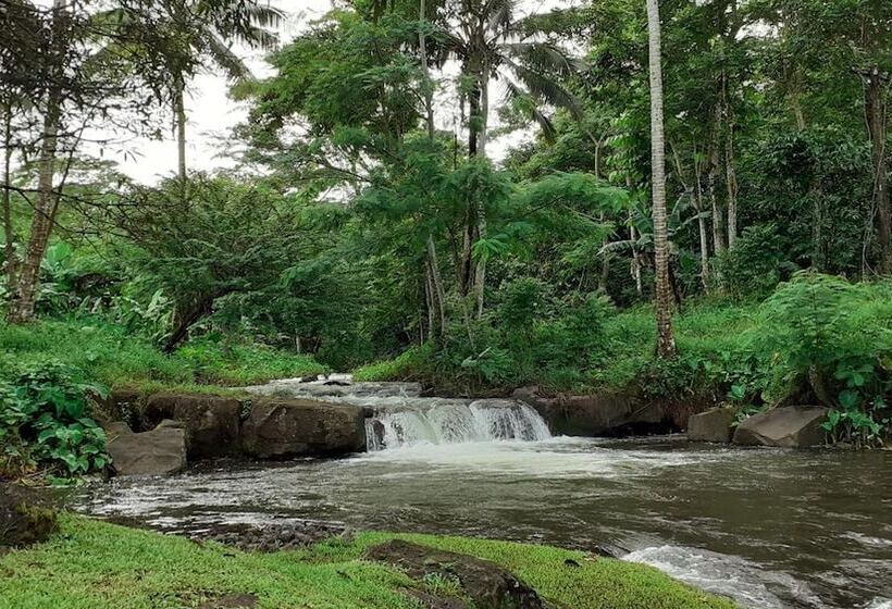 هتل Dave Parker Eco Lodge