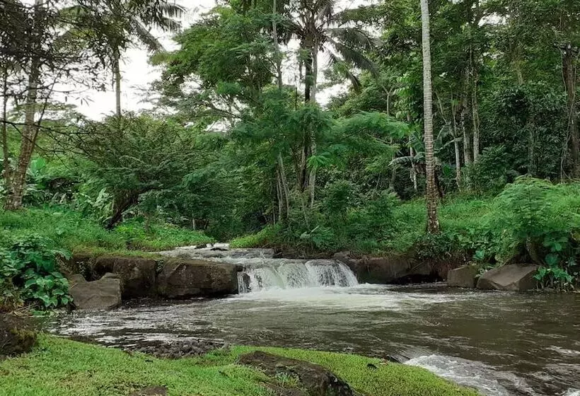 هتل Dave Parker Eco Lodge