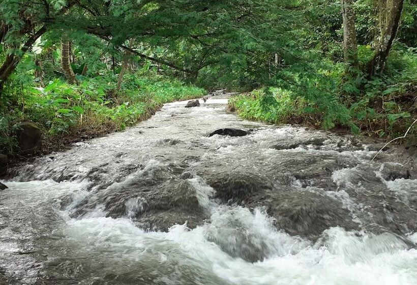 هتل Dave Parker Eco Lodge