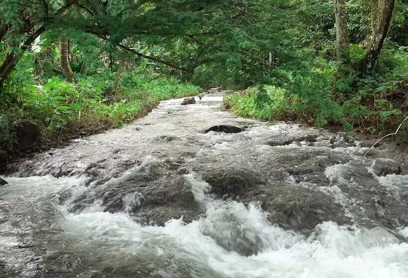 هتل Dave Parker Eco Lodge