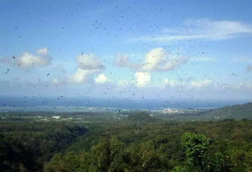 هتل Dave Parker Eco Lodge