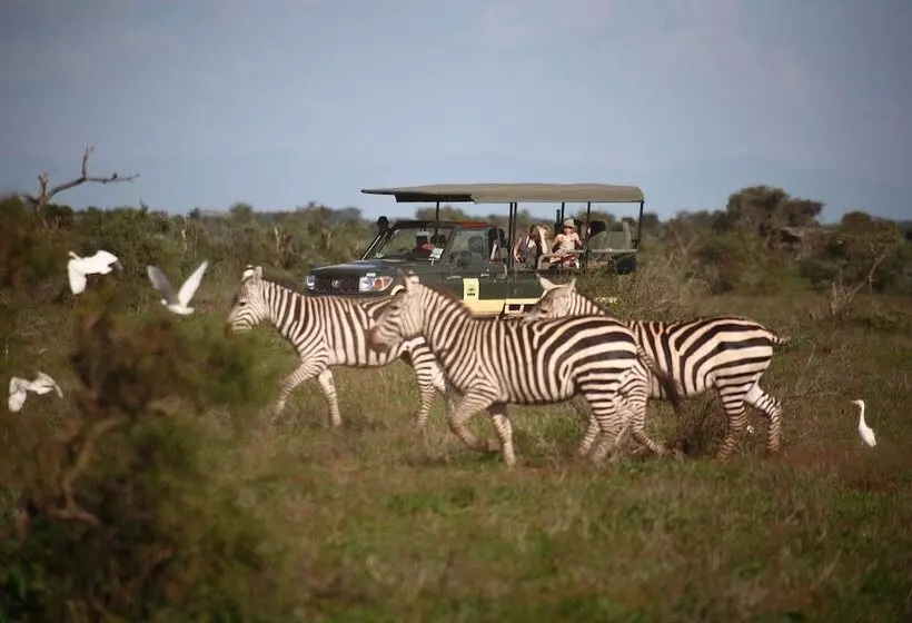 هتل Elewana Tortilis Camp