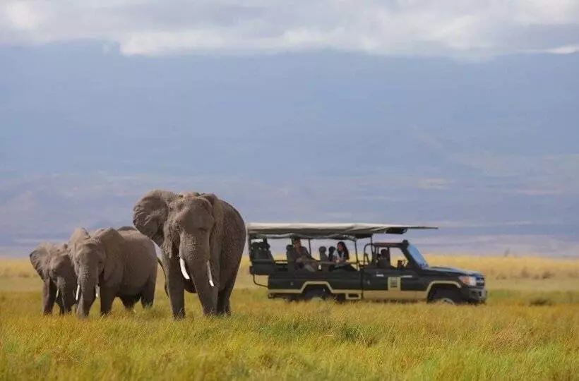 هتل Elewana Tortilis Camp