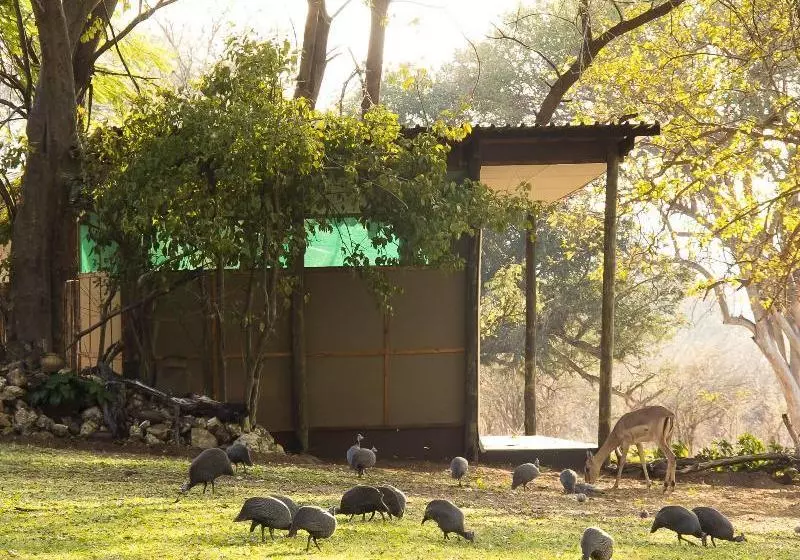 هتل Imbabala Zambezi Safari Lodge