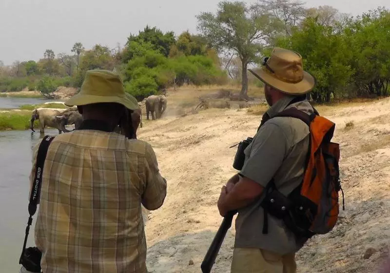 هتل Imbabala Zambezi Safari Lodge