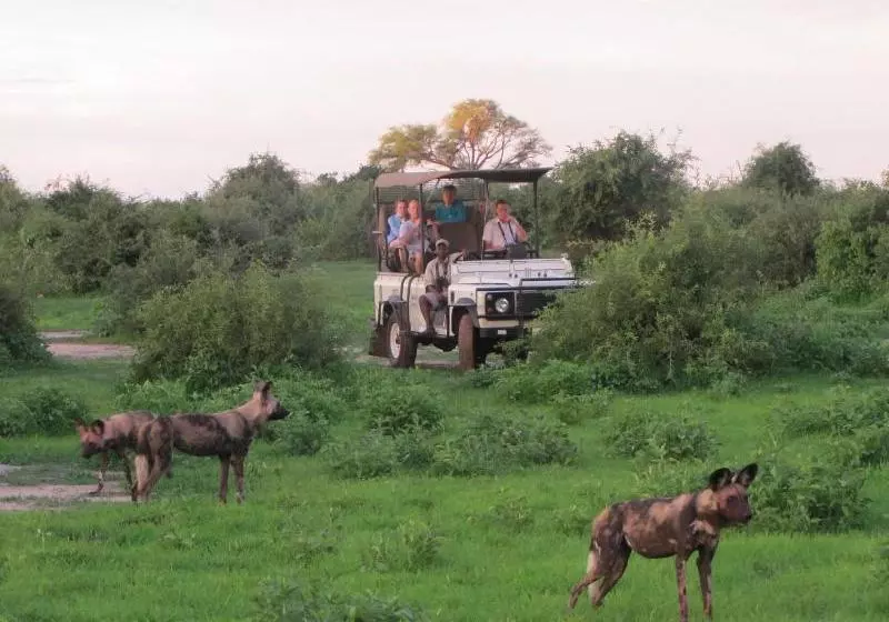 هتل Imbabala Zambezi Safari Lodge