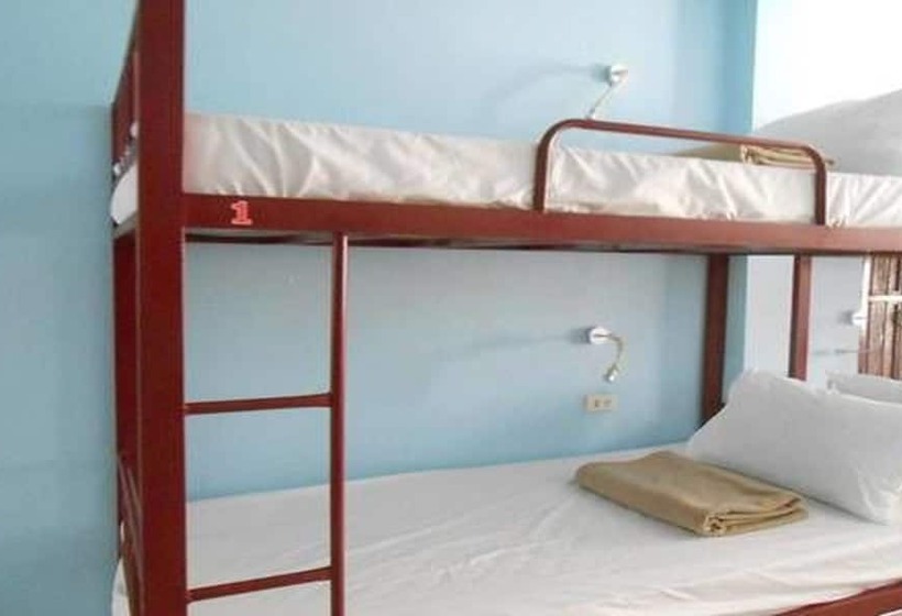 Lucky Backpacker Hostel