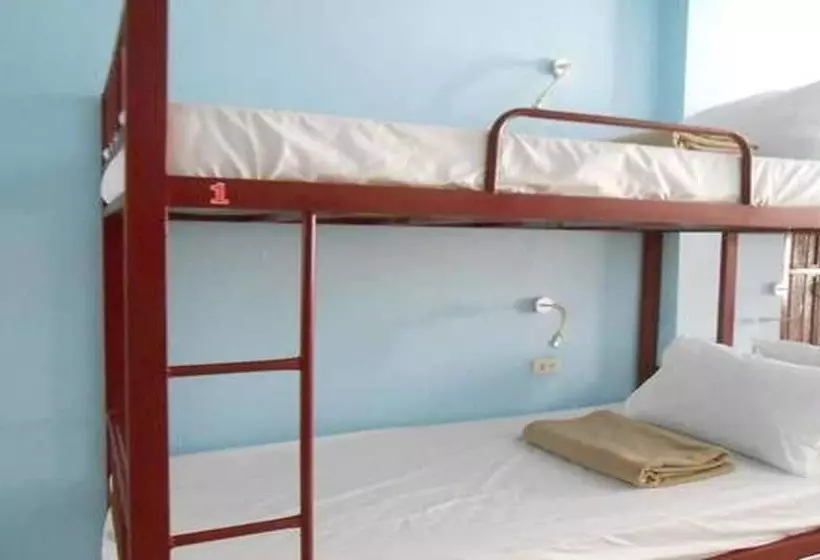 Lucky Backpacker Hostel