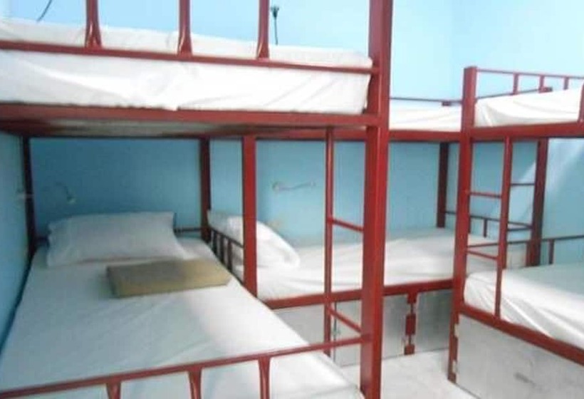 Lucky Backpacker Hostel