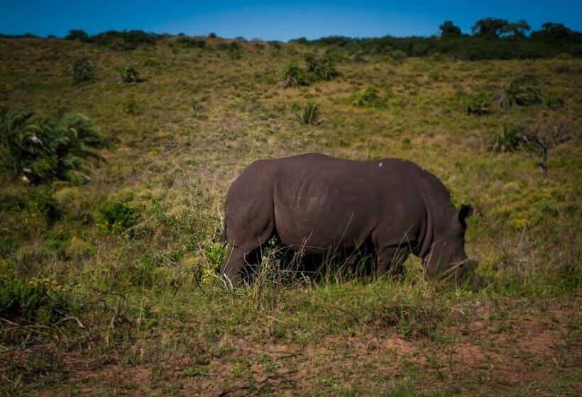Pelican S Nest Holiday Home St Lucia