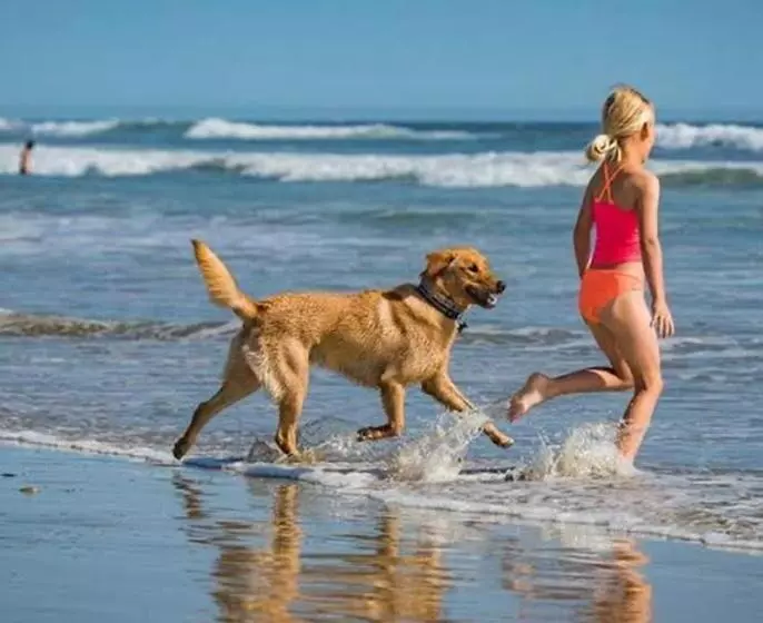 Pelican S Nest Holiday Home St Lucia