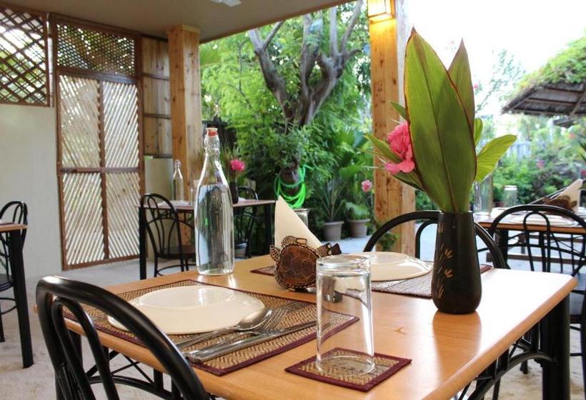 پانسیون Hanifaru Transit Inn