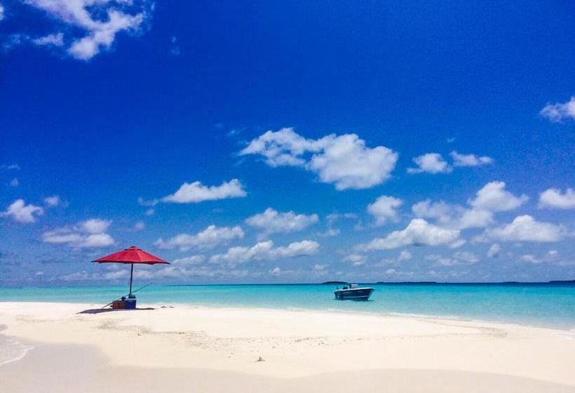 پانسیون Hanifaru Transit Inn