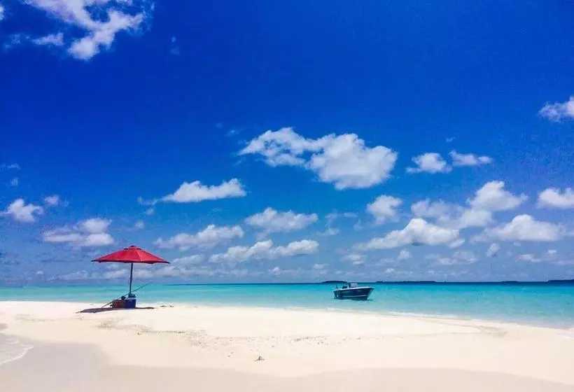 پانسیون Hanifaru Transit Inn