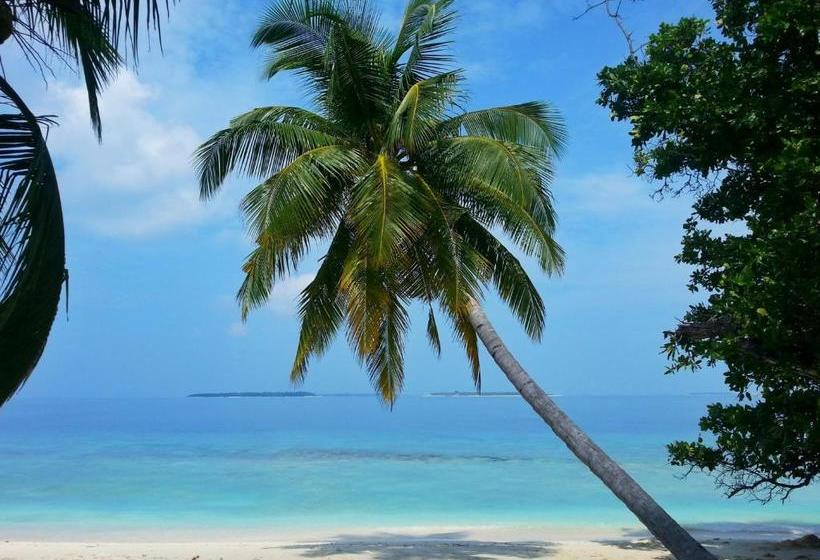 پانسیون Hanifaru Transit Inn