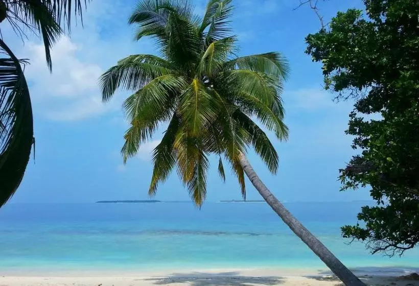 پانسیون Hanifaru Transit Inn