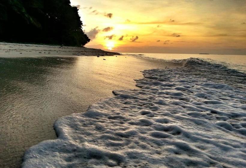 پانسیون Hanifaru Transit Inn