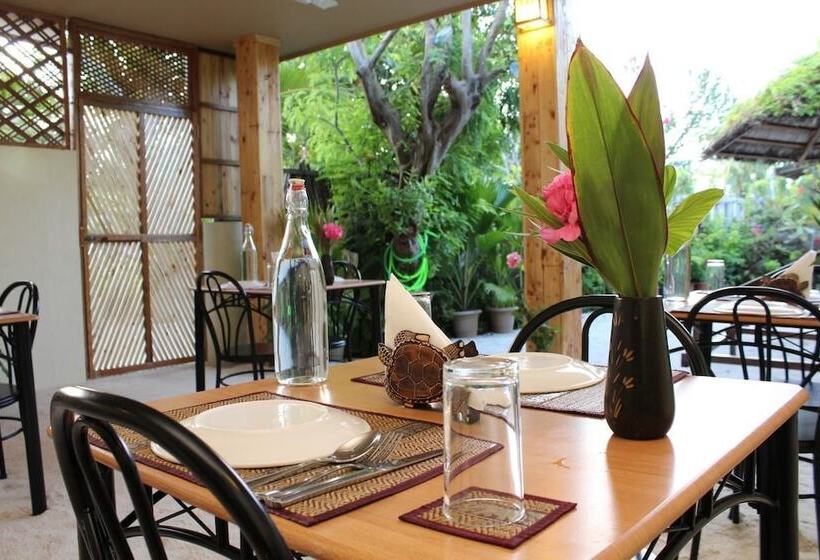 پانسیون Hanifaru Transit Inn