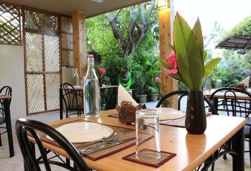 پانسیون Hanifaru Transit Inn