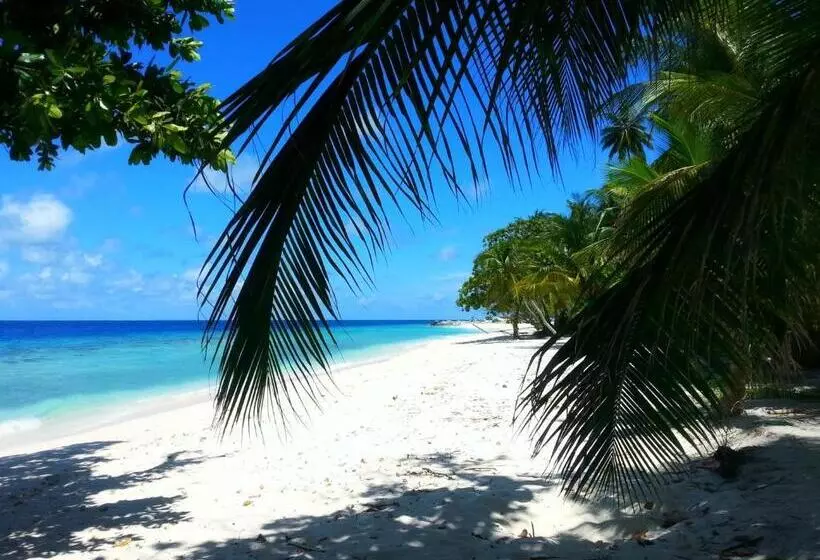 پانسیون Hanifaru Transit Inn