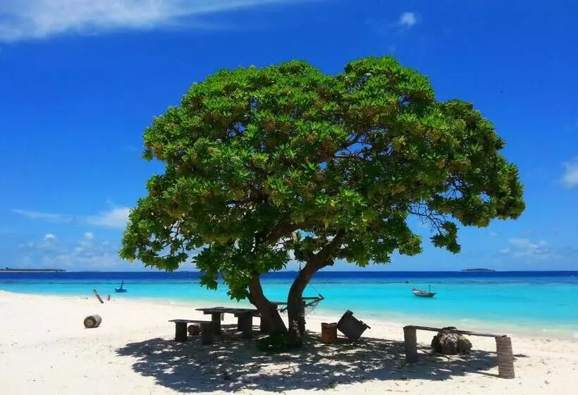 پانسیون Hanifaru Transit Inn