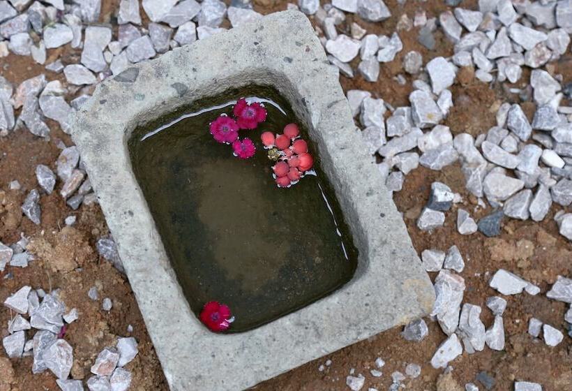 פנסיון Shangsian Seclusive Genealand