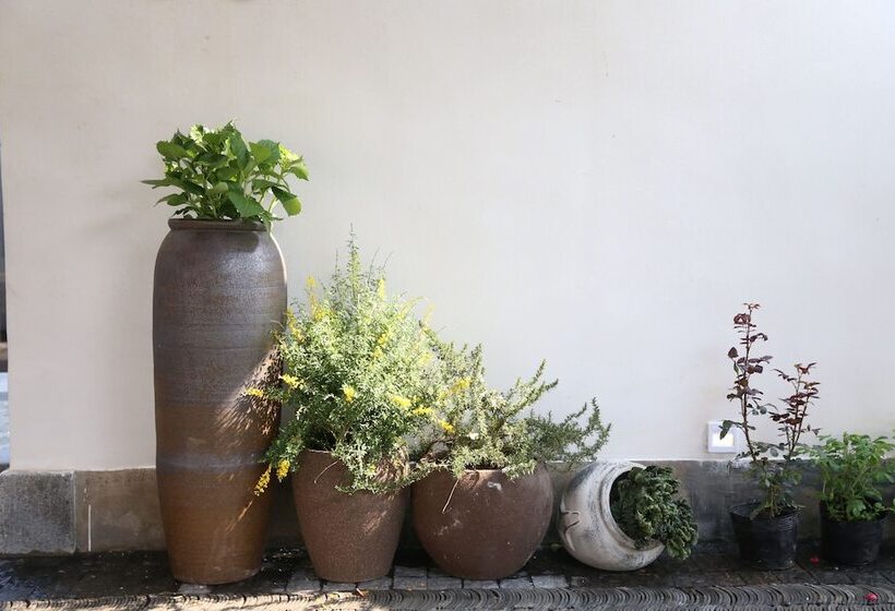 פנסיון Shangsian Seclusive Genealand