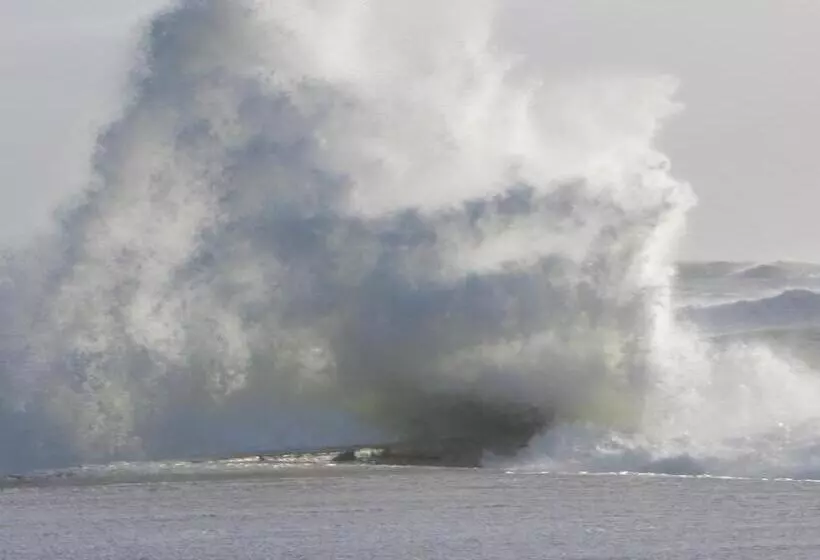 ベッドアンドブレックファースト Back To Breizh