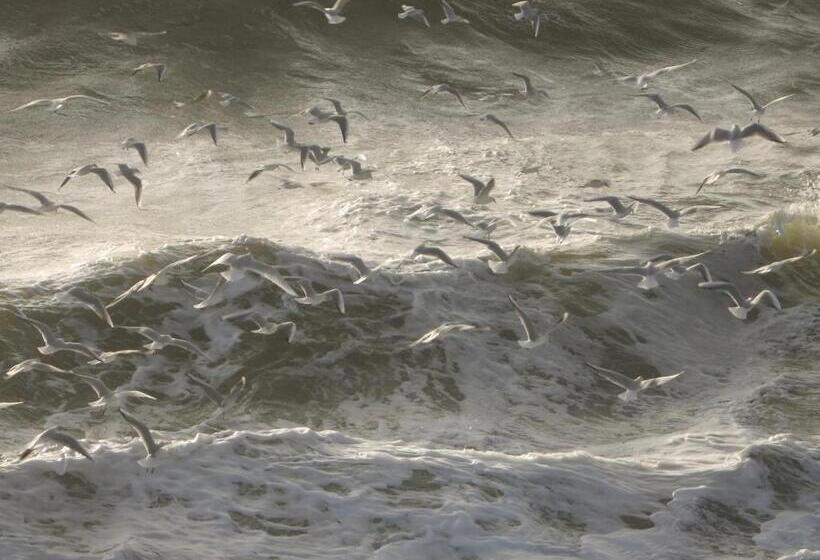 ベッドアンドブレックファースト Back To Breizh