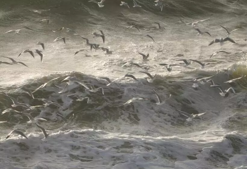 ベッドアンドブレックファースト Back To Breizh