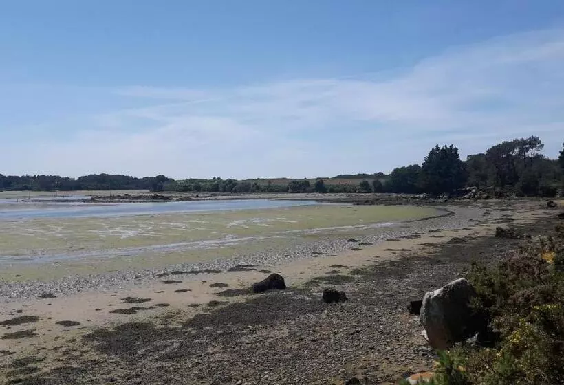 ベッドアンドブレックファースト Back To Breizh