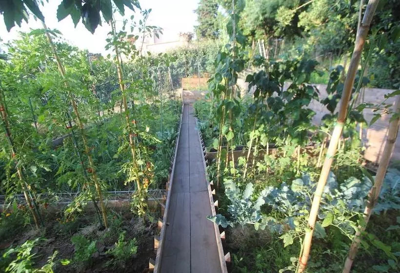 Hotel La Villa Corsica