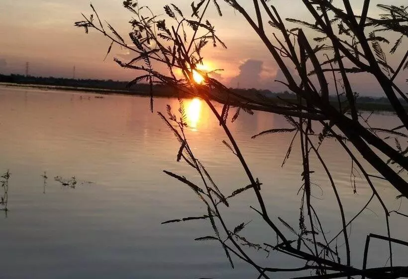هتل Moe Yun Gyi Wetlands Resort