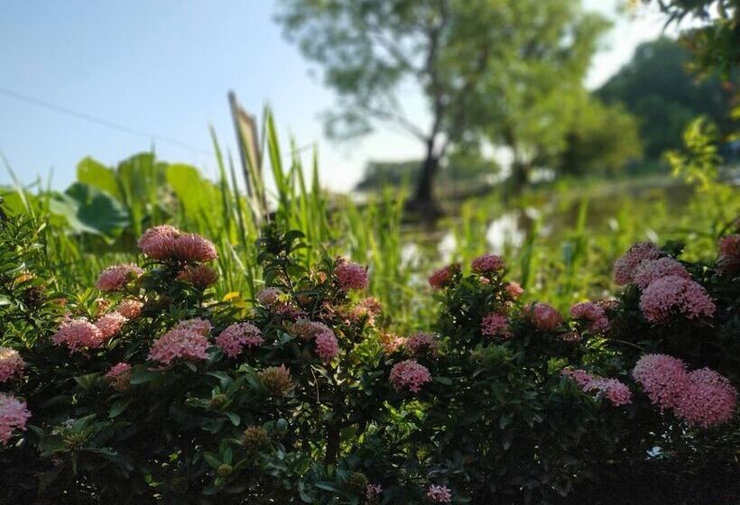 هتل Moe Yun Gyi Wetlands Resort