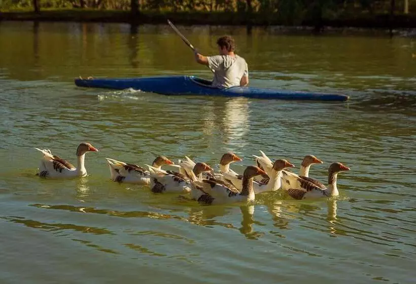 ホテル Pousada Pantanal Rancho Do Nabileque