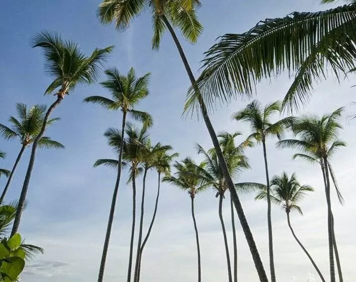 استراحتگاه Meliá Punta Cana Beach Wellness Inclusive - Adults Only