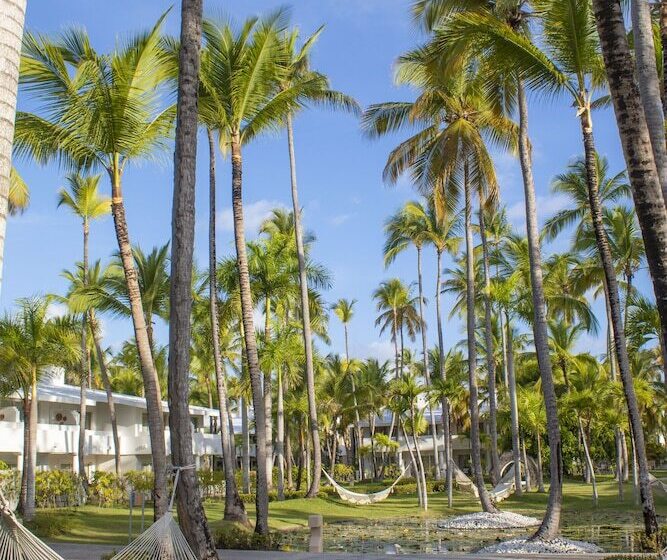استراحتگاه Meliá Punta Cana Beach Wellness Inclusive - Adults Only