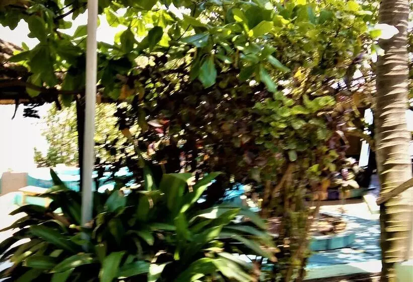 Rising Phoenix Magic Beach Resort