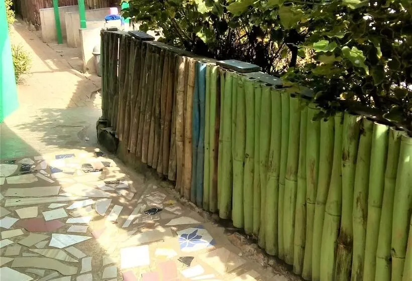 Rising Phoenix Magic Beach Resort