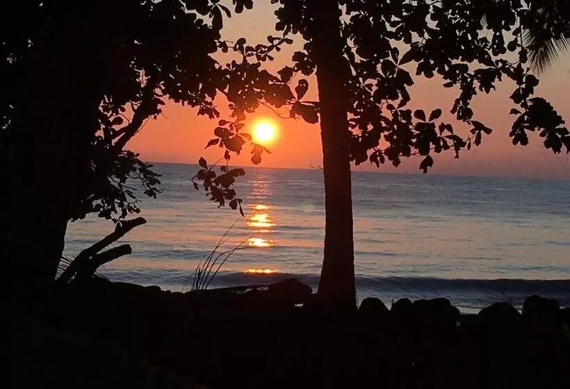 Devi's Place Tejakula