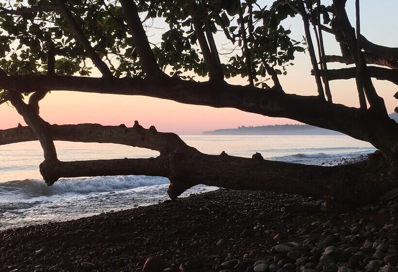 Devi's Place Tejakula